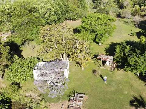 Isla Paulino