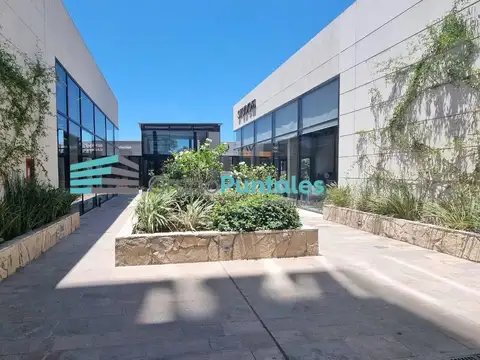 Mariano Castex  al 2000