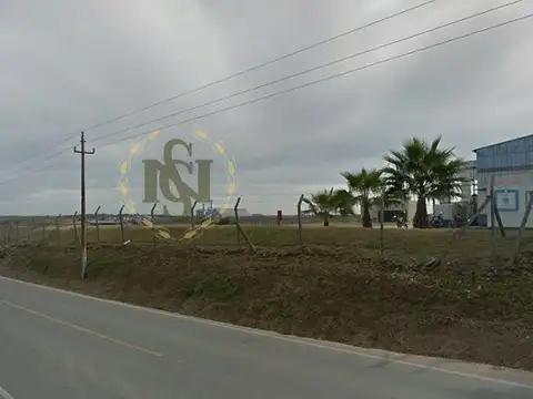 RUTA 5