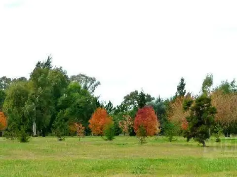 MIRALAGOS, Club de Campo, Golf & Spa