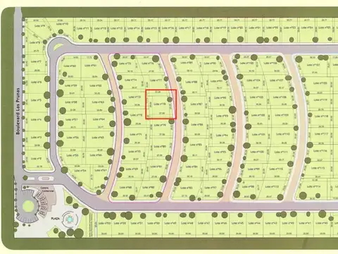 Lote 78 - Las Prunas - Sup: 602mts