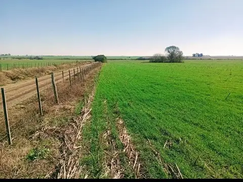 Hernandez Y Betbeder