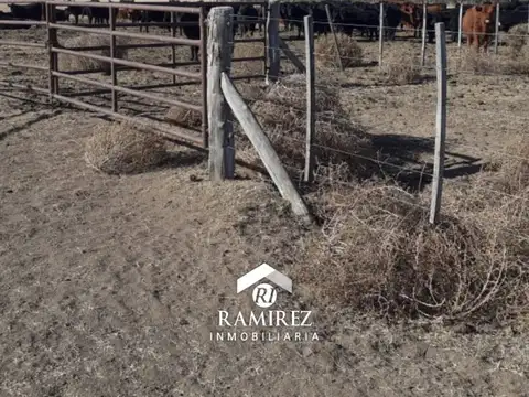 Campo en Venta – Batavia, San Luis