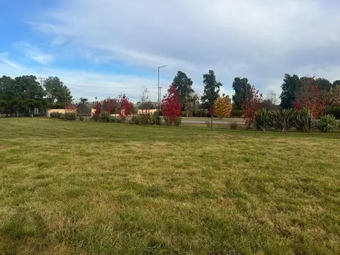Terreno en Venta de 1160,0 m2