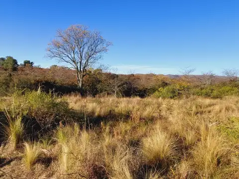 Terreno en Venta de 625,0 m2