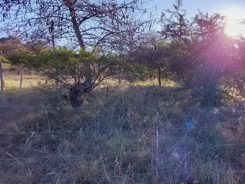 Terreno en Venta en El Vergel, USD 12.500