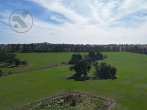 94 HA AGRÍCOLAS A 20 MIN DE MAR DEL PLATA | CASCO HISTÓRICO | A 1000 MTS DE RUTA 88