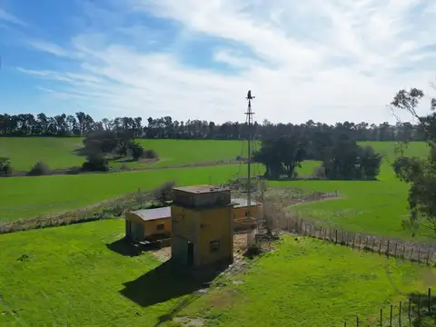 94 HA AGRÍCOLAS A 20 MIN DE MAR DEL PLATA | CASCO HISTÓRICO | A 1000 MTS DE RUTA 88