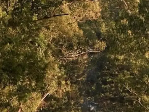 ESTANCIA VILLA MARIA Avenida Pereda s/n, Máximo Paz, 200