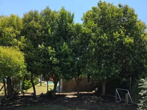 Casa 2 ambientes con 1 baño