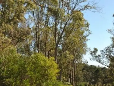 Terreno en Venta de 1578,0 m2