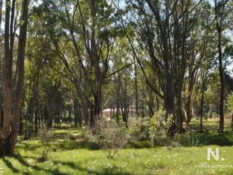 Terreno en venta en Barraverde, apto para bloque bajp