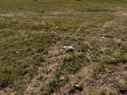 Terreno en Venta en Santa Rosa, Capital