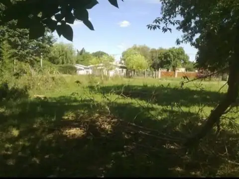 Lisandor de la Torre