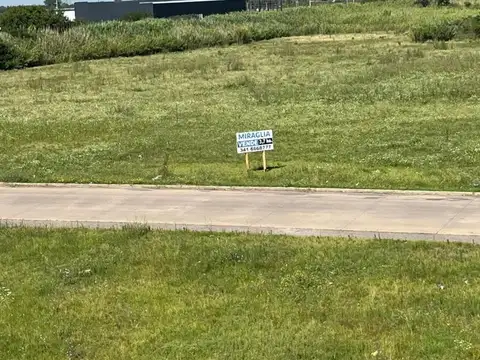 Fraccion Industrial Sobre Av. Circunvalación – Rosario