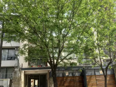 Aristobulo del Valle  al 500