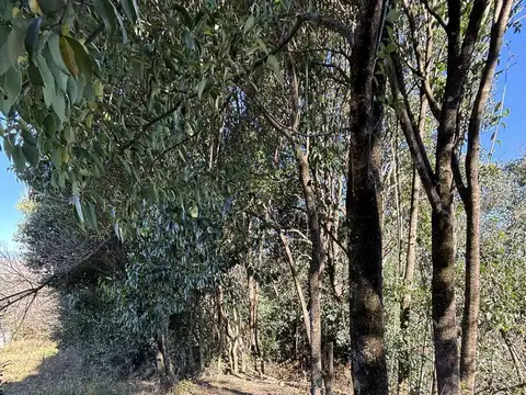 Terreno en Venta en Los Zarzos De San Lorenzo, USD 93.000