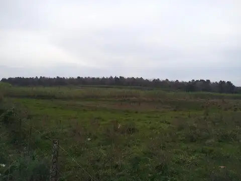 Terreno en Venta de 55000,0 m2
