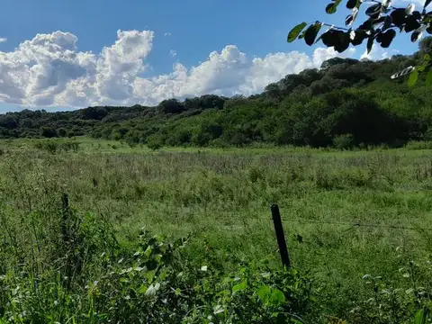 Increíble Campo de 24 Hectáreas en La Granja