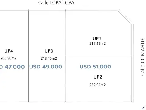 Lotes totalmente planos en Barrio Norte. (cód. 117)