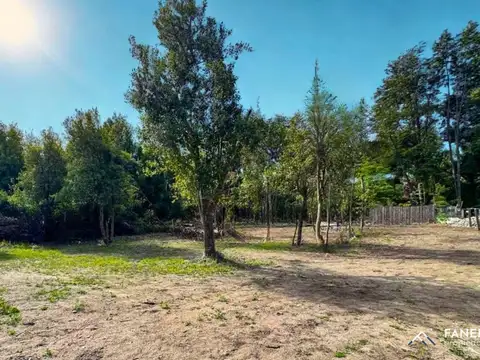 Lotes totalmente planos en Barrio Norte. (cód. 117) 