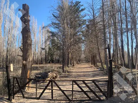 Terreno - Plottier