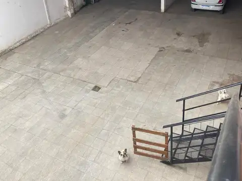 Galpon en Venta 32,50  mts Fondo