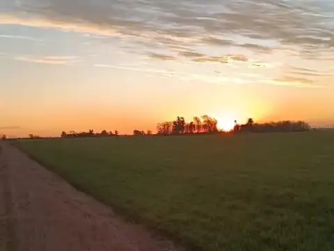 Campo en Maximo Paz, Santa Fe