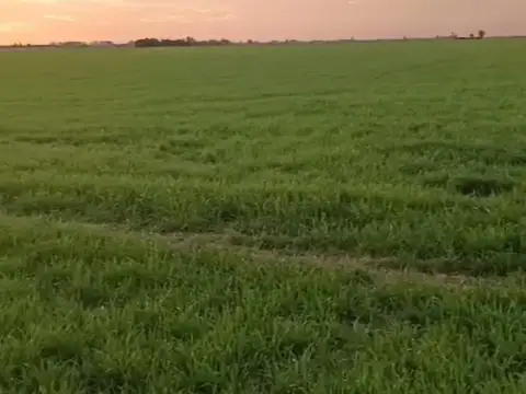 Campo en Máximo Paz. 17 has