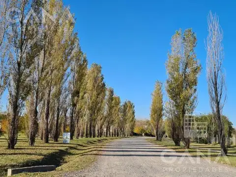 Terreno en Venta 47  mts Fondo