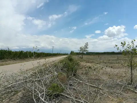 Terreno en Venta 14  mts Fondo