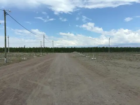 Terreno en Venta en Tunuyan, USD 12.000