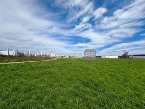 Terrenos Industriales desde 5600 m²en Venta – Juntos o Separados – Polo Industrial Ezeiza