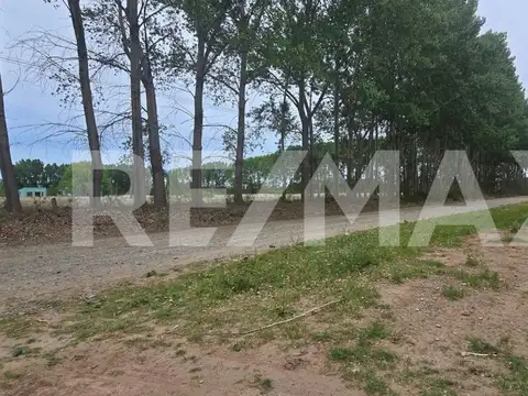 LOTE DE 2.500 M2 - LEJOS DE BS AS - SENILLOSA