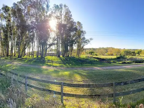Terreno en Venta de 8266,0 m2