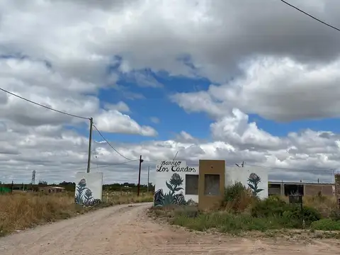 Camino de la Unión -BARRIO LOS CARDOS B 100
