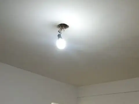 Departamento en Alquiler 61 años