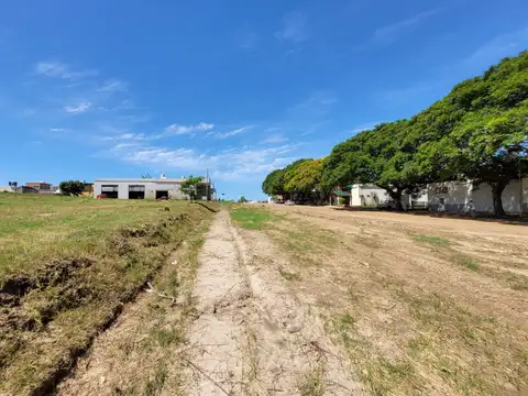 Av las Hortencias y Hector Bur