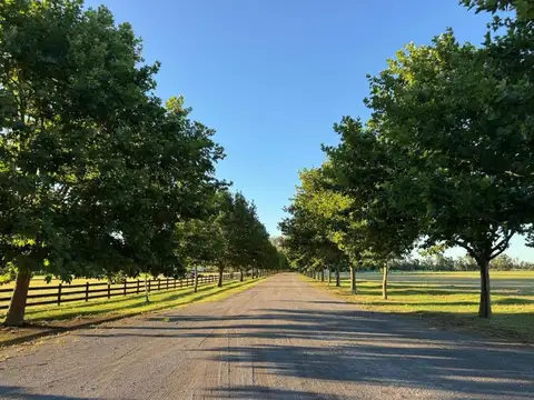 Terreno en Venta de 1530,0 m2