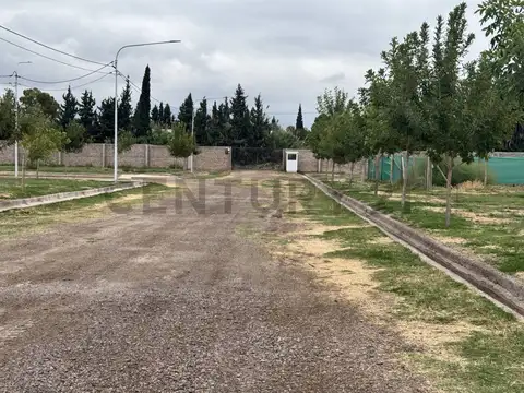 Terreno en Venta 30  mts Fondo