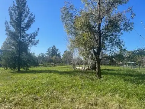LOTE EN VENTA, ZONA DEL GOLF, CLUB DE CAMPO EL MORO, MARCOS PAZ