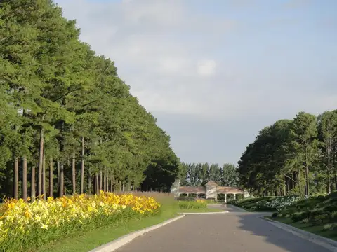 Venta Terreno en  Pinares Country Club