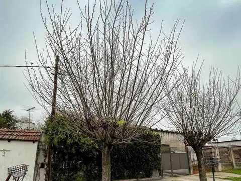 Casa en venta - 3 Dormitorios 3 Baños - 300Mts2 - Lisandro Olmos