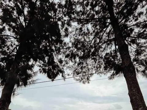 Terreno en venta - 4.850mts2 - Estancia Las Malvinas, Coronel Brandsen