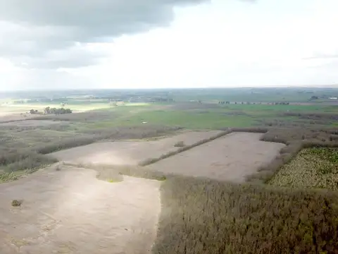 136 Has. Campo s/ Ruta 6 en General Las Heras