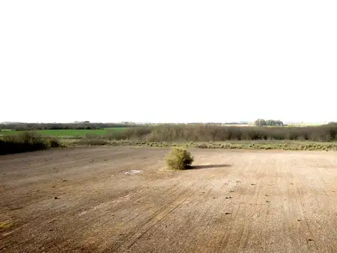 Campo en Venta de 136  ha