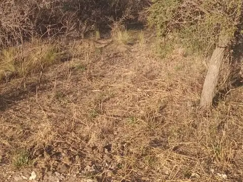 Terreno en Venta de 600,0 m2