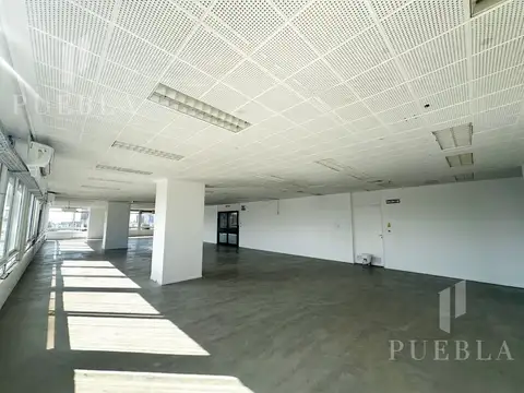 Oficina en Alquiler A Estrenar
