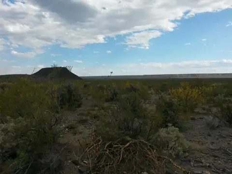 Campo 540 HA Costa Río Colorado, Mendoza. Para riego