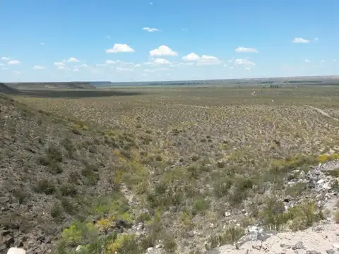 Campo en Venta en Agua Escondida, Malargüe